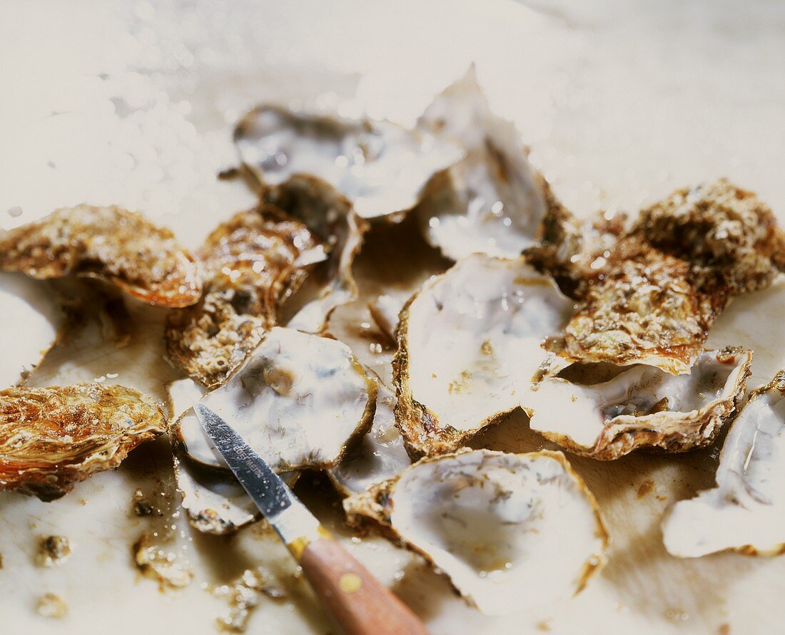 Opened oysters with oyster knife