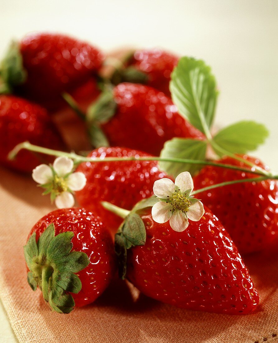 Strawberries with leaves and flowers