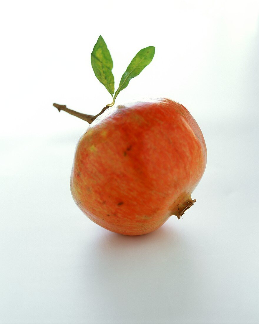 Granatapfel mit Blättern