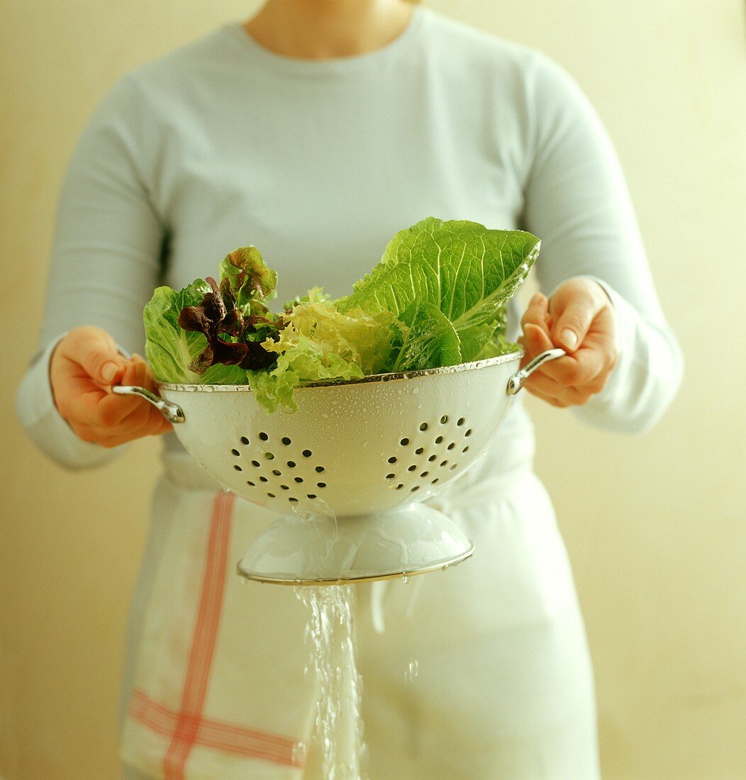 Washing lettuce leaves in colander