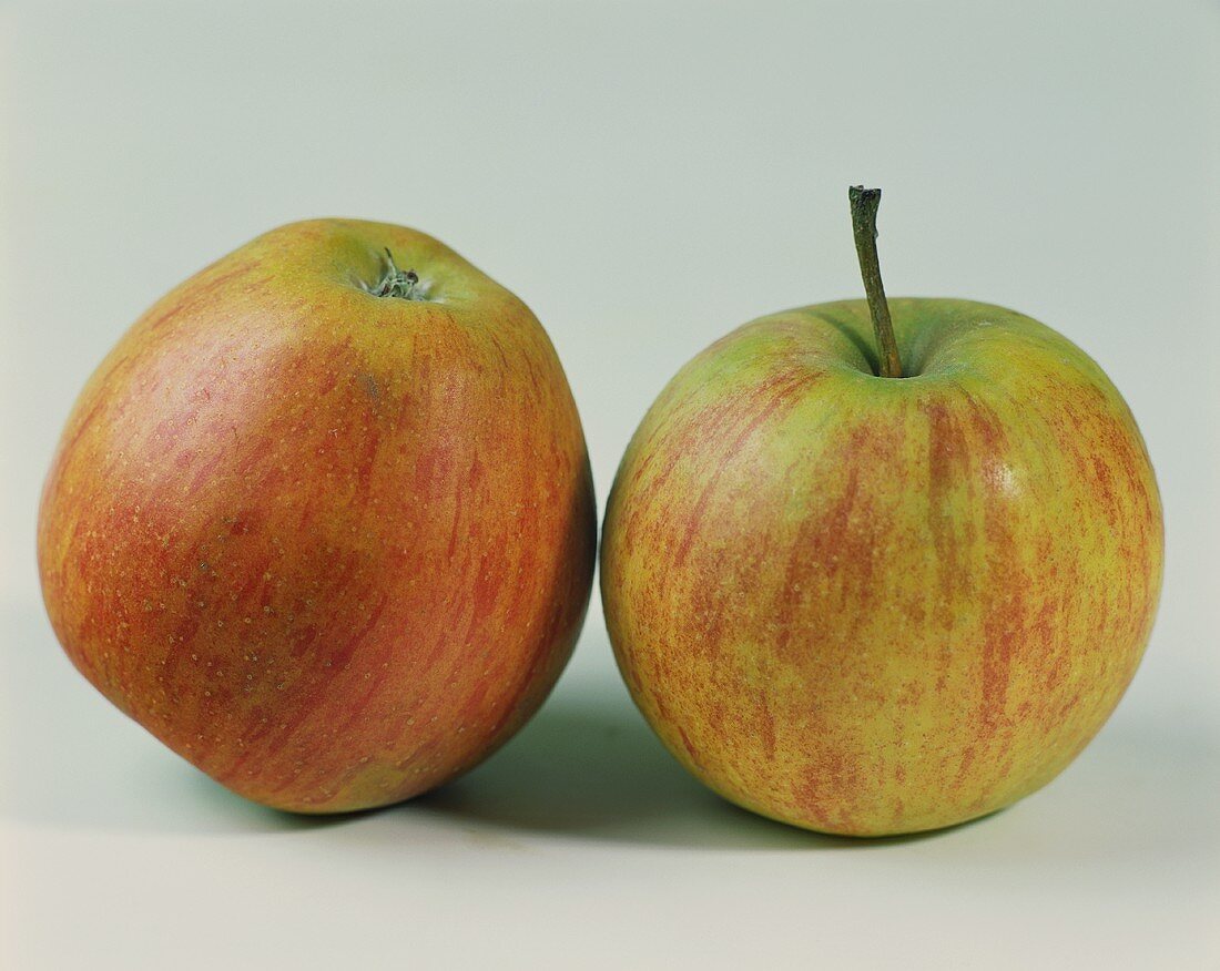 Zwei Äpfel der Sorte Rubinette