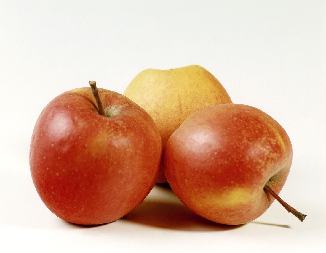 Drei Äpfel der Sorte Pinova