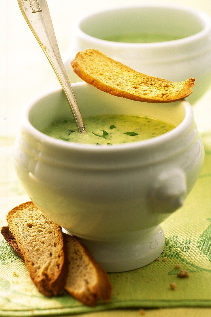 Herb soup and toasted bread