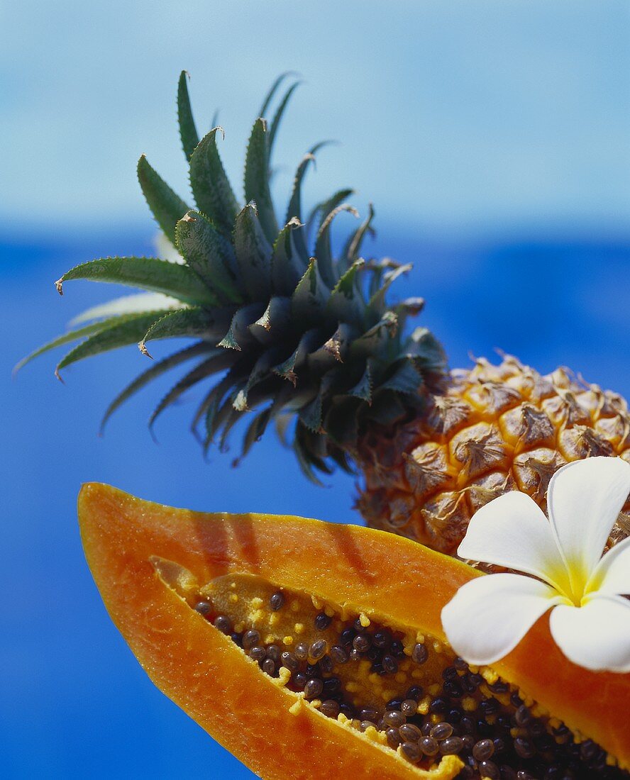 Papaya und Ananas vor meerblauem Hintergrund