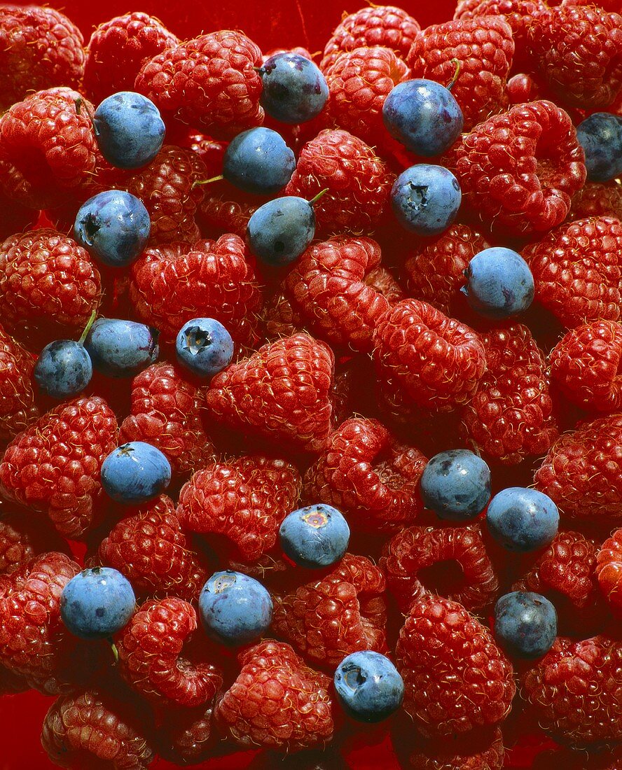 Raspberries and blueberries (filling the picture)