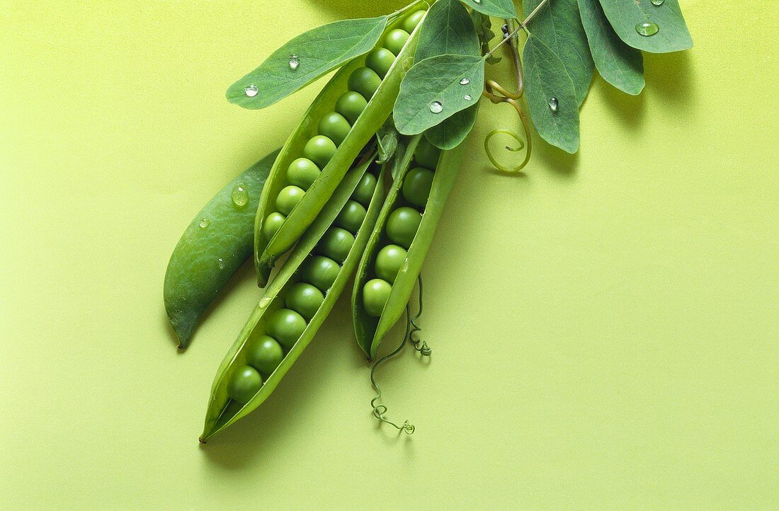 Three opened pea pods and leaves