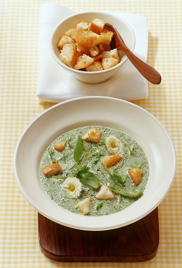 Kräutlsuppe mit gerösteten Brotwürfeln (Süddeutschland)