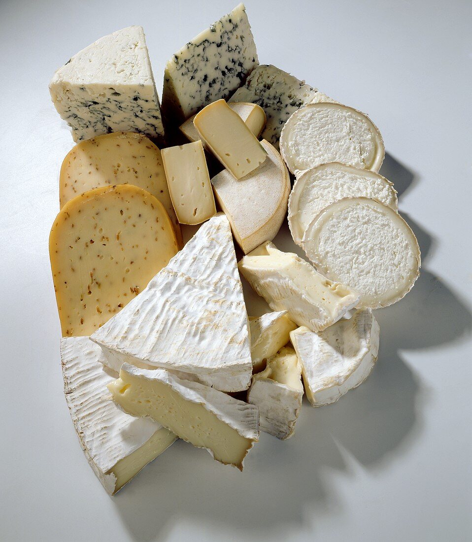 Cheese still life (pieces of various types)