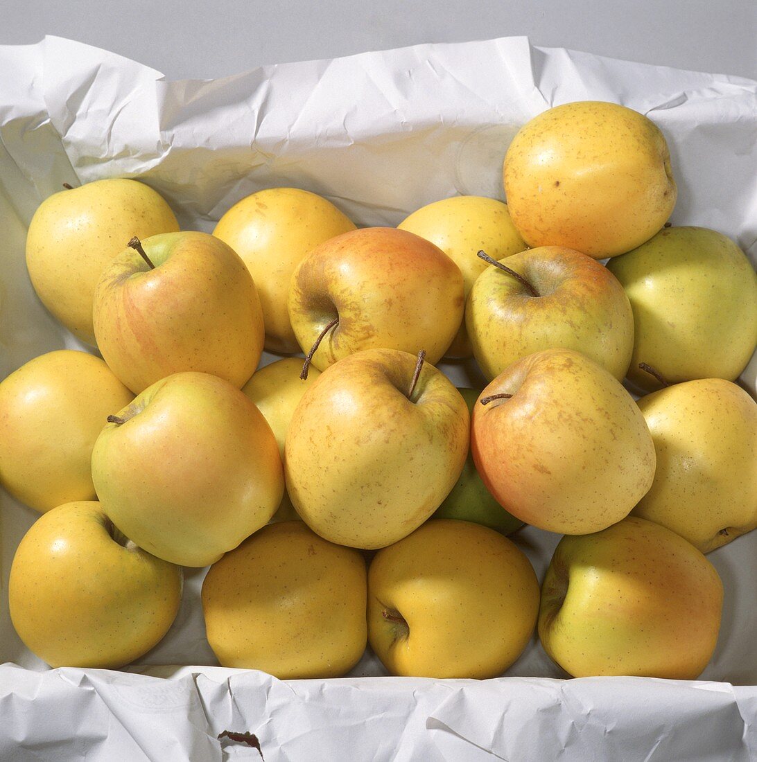 Äpfel der Sorte 'Golden Delicious'