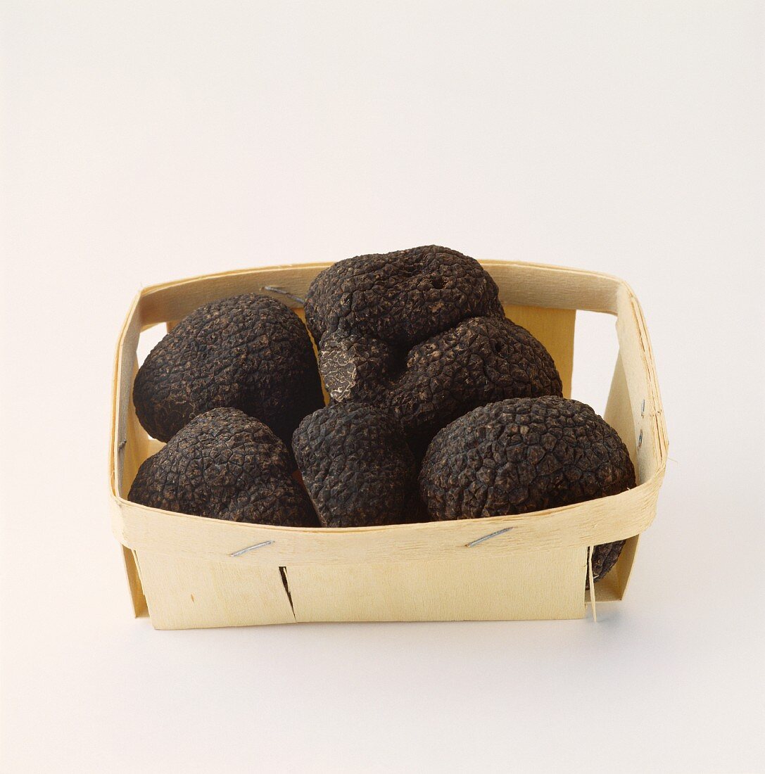 Black Perigord truffles in a wood chip box
