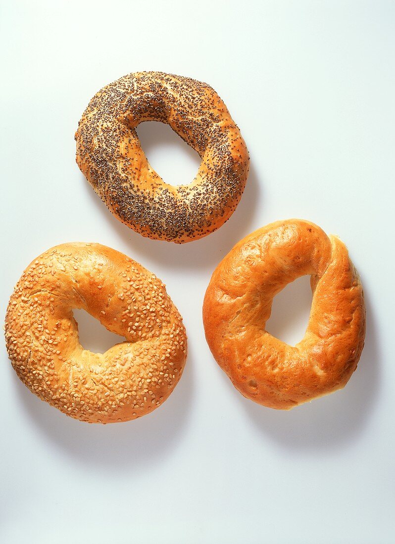 Three different bagels (sesame, poppy seed, plain)