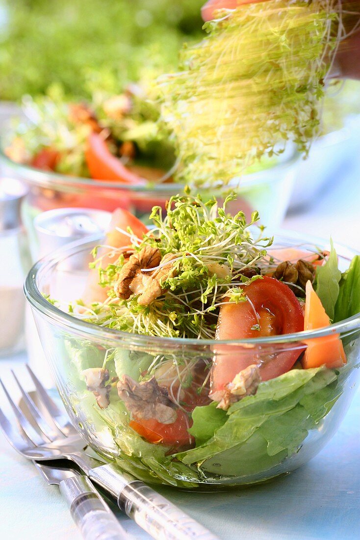 Tomatensalat mit Kresse und Walnüssen