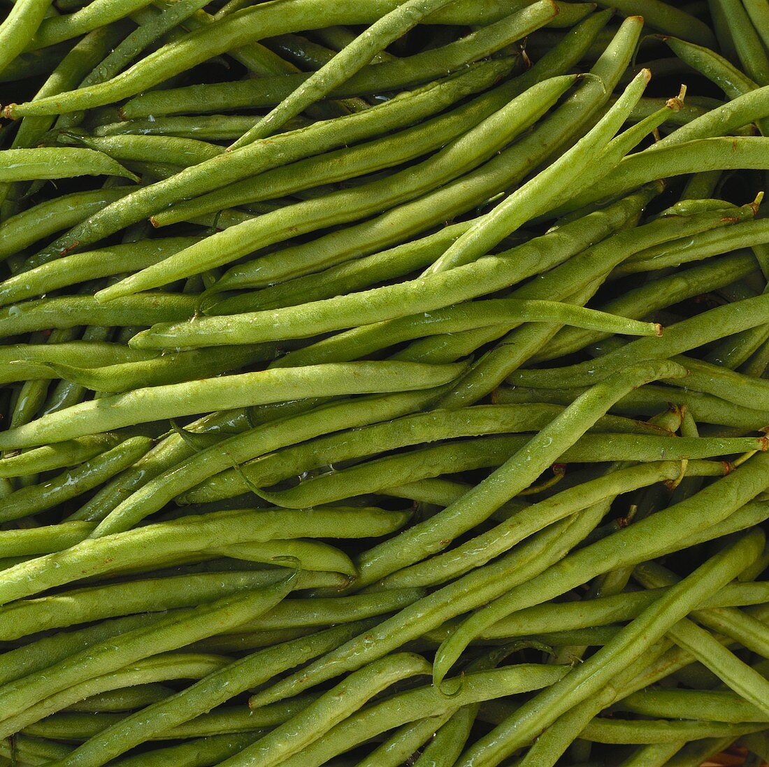 Haricots verts (type of green bean, filling the picture) 