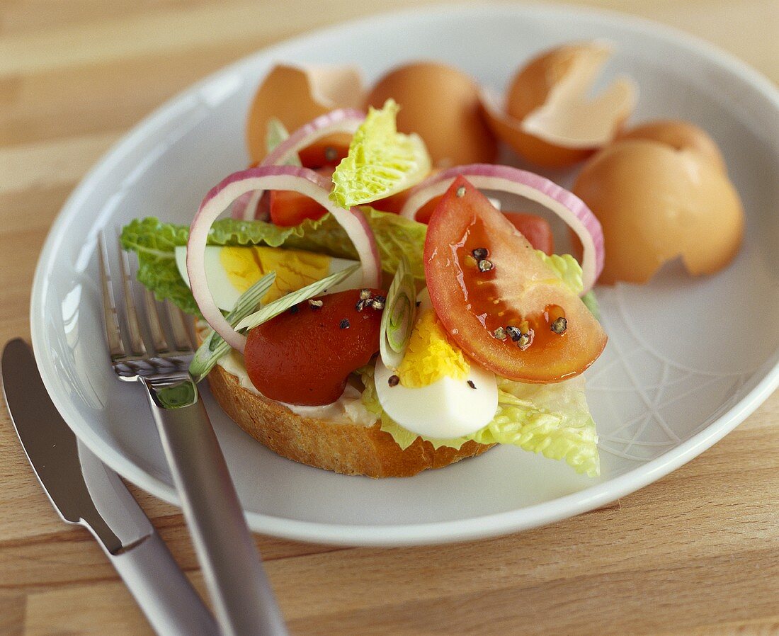 Egg and tomato sandwich