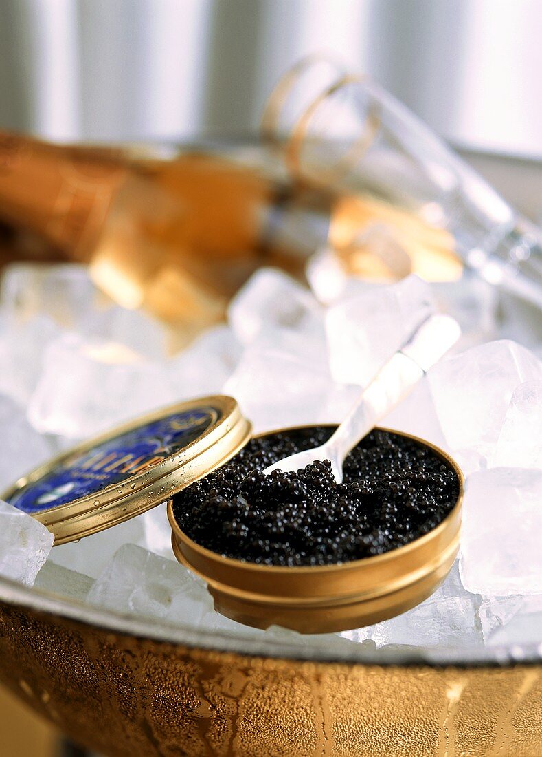 Russischer Störkaviar in einer geöffneten Dose auf Eis