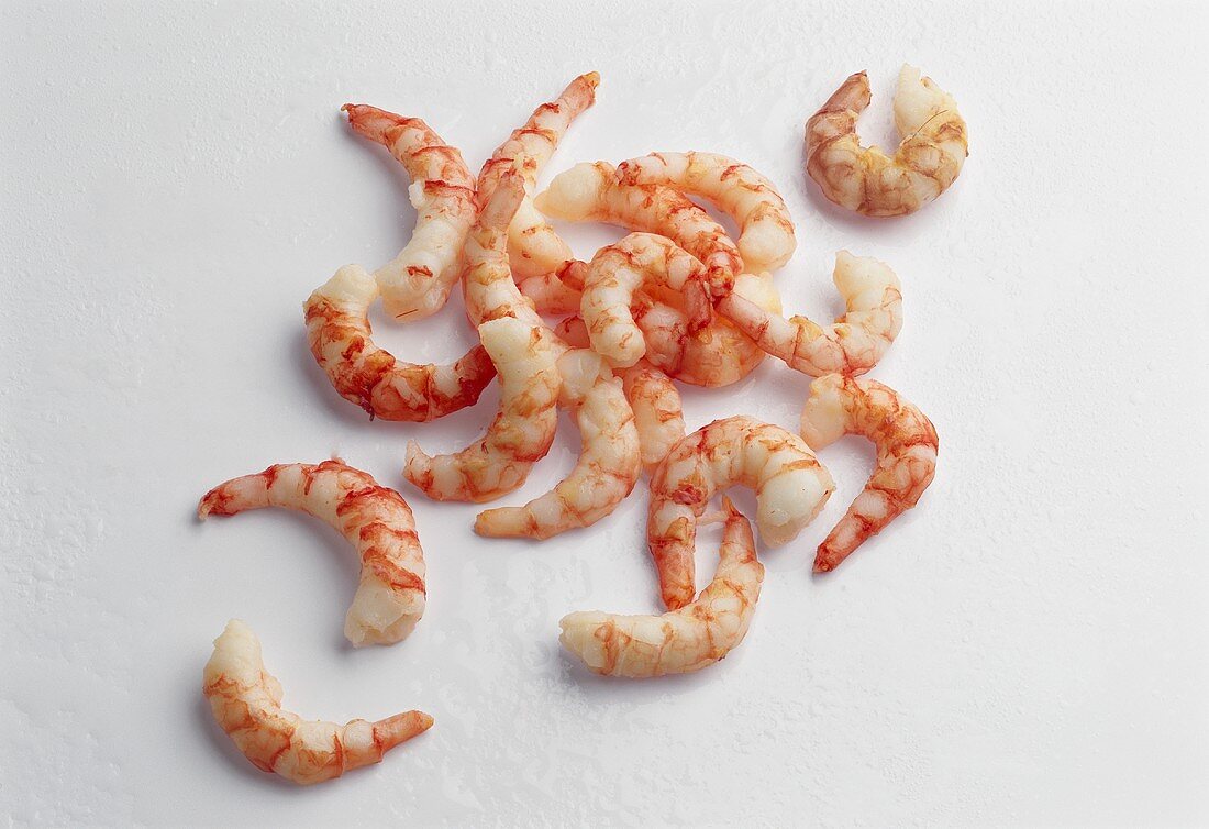 Lots of peeled shrimps (Greenland shrimps)