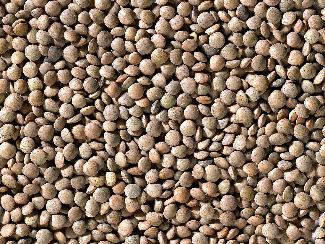 Lots of brown lentils (filling the picture)