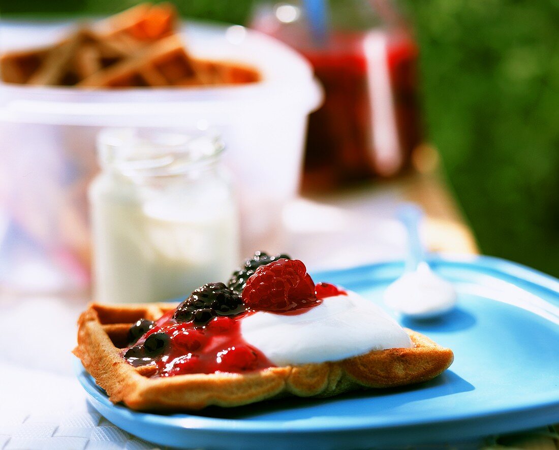 Yoghurt waffle with berries and quark on plastic plate