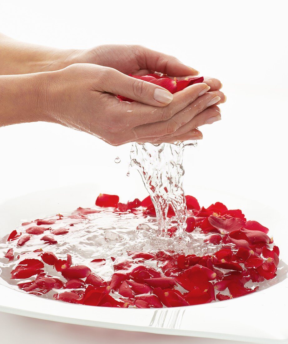 Water falling out of hands full of rose petals
