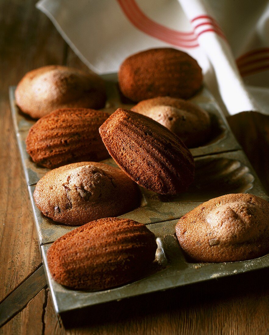 Madeleines with honey and cocoa