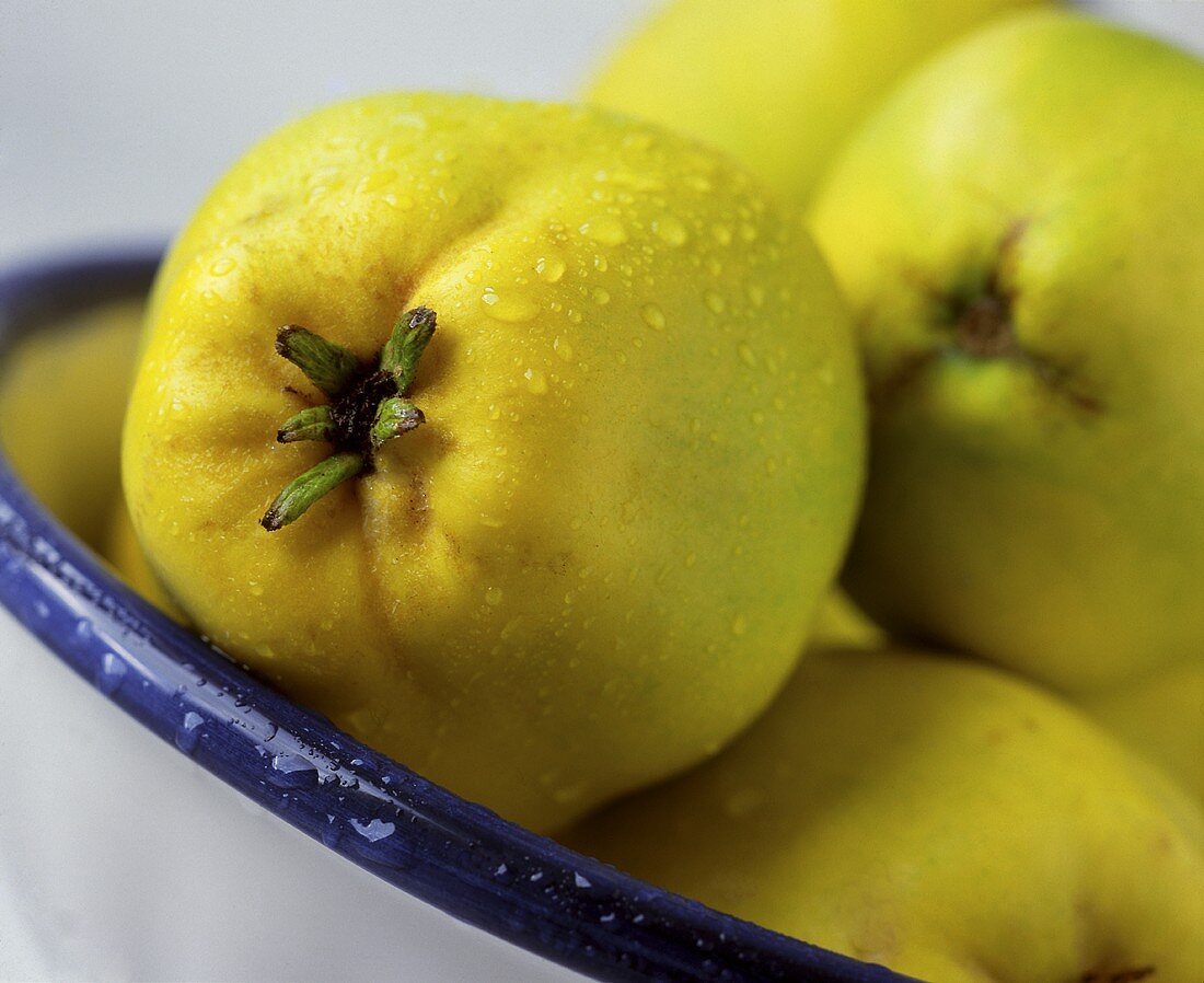 Quinces in a bowl