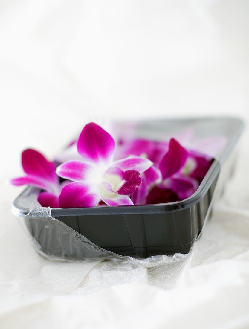 Purple orchids in a plastic tray with plastic wrap