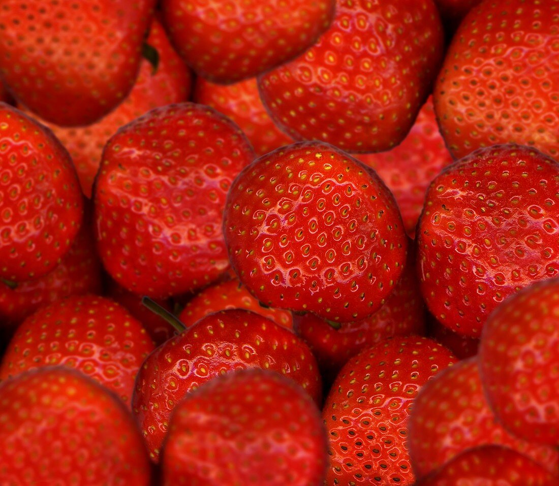 Frische Erdbeeren (bildfüllend)