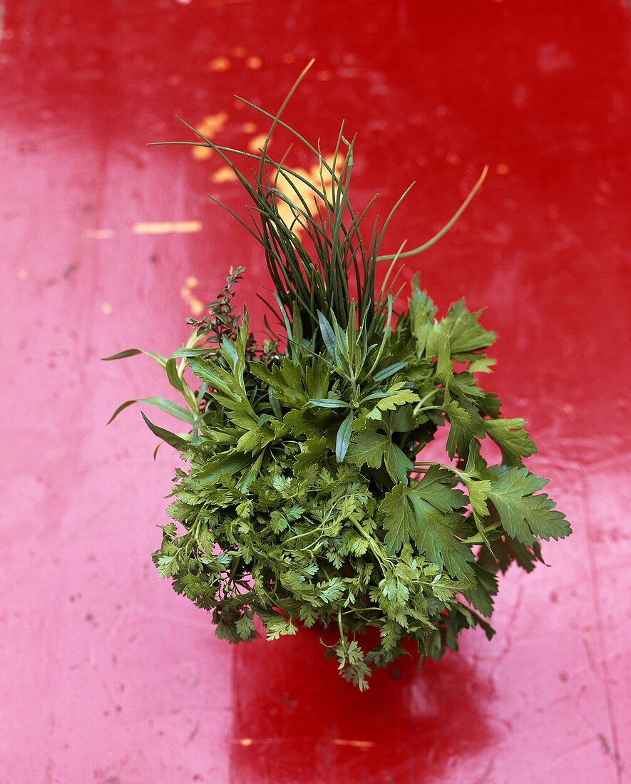 Bunch of herbs on red background