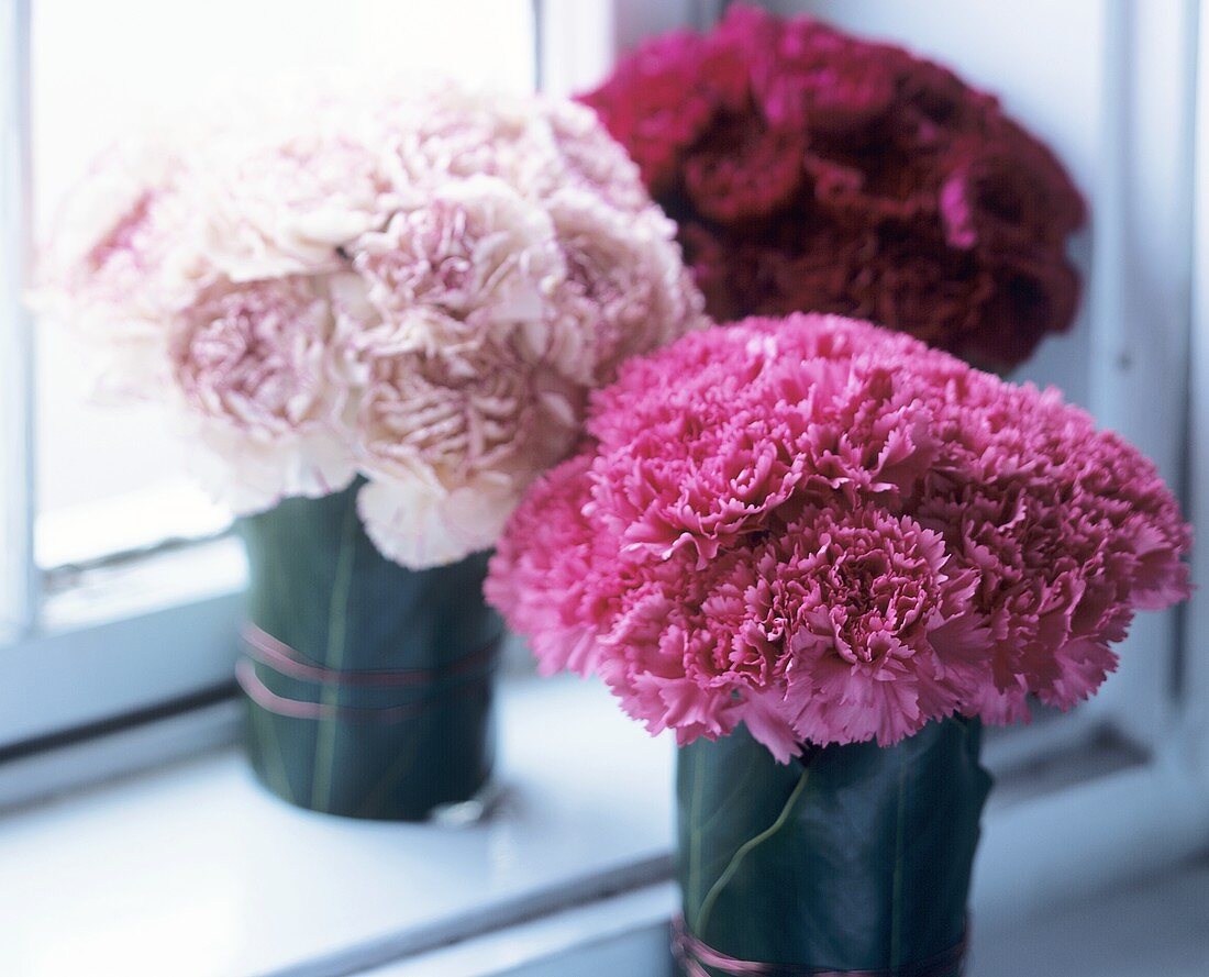 Bunches of carnations