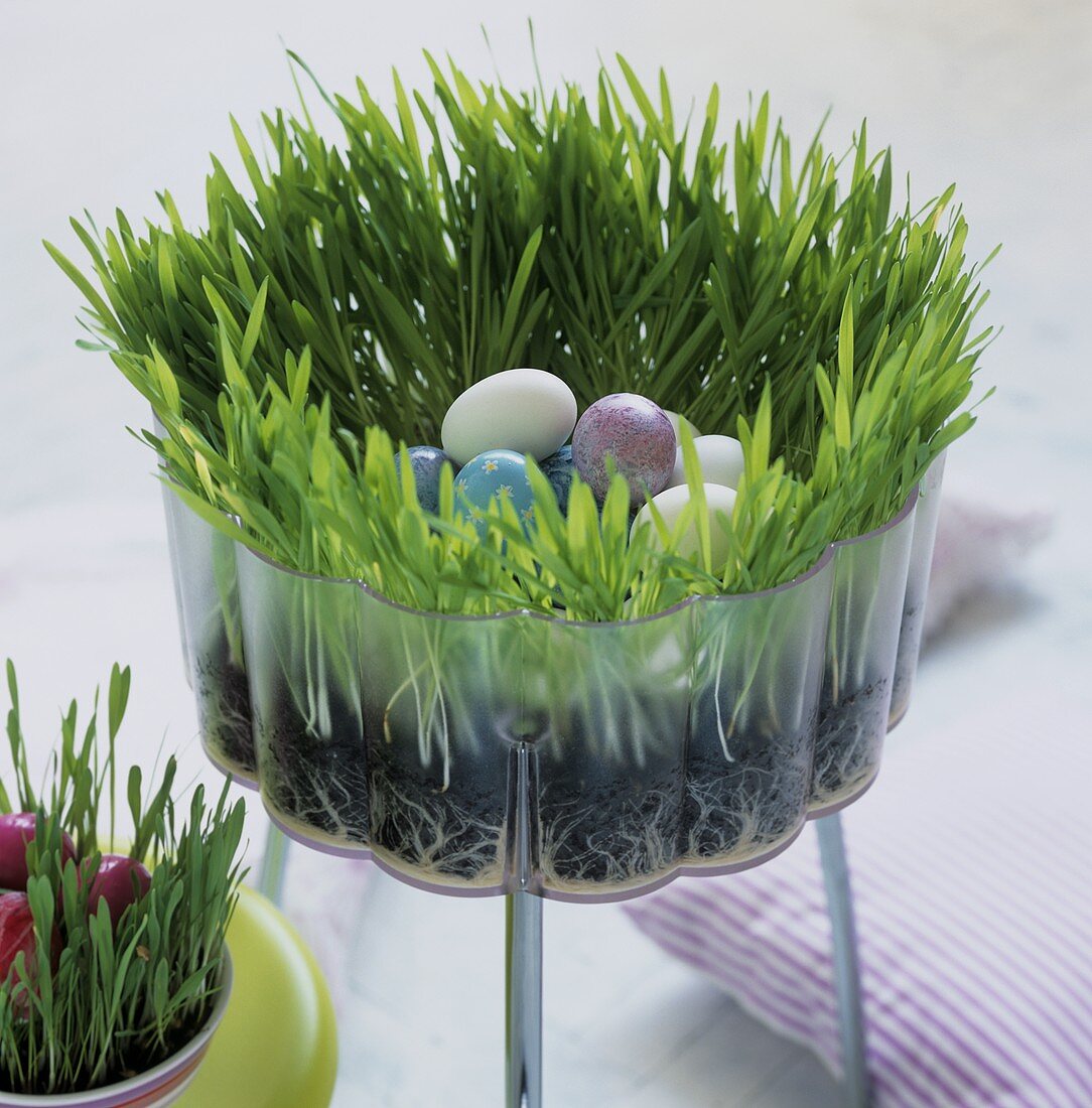 Container with Easter grass and eggs