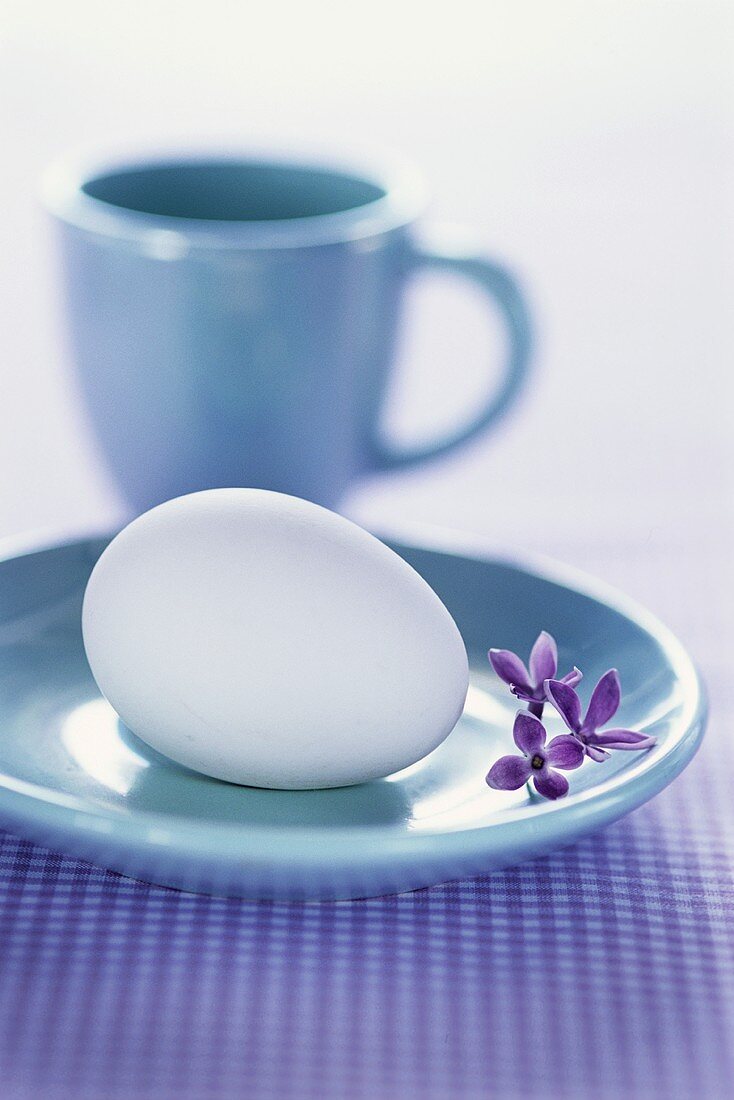 Weisses Ei auf blauer Untertasse, dahinter blaue Tasse