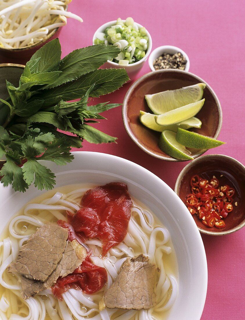 Pho Bo (rice noodle soup with beef, Vietnam)