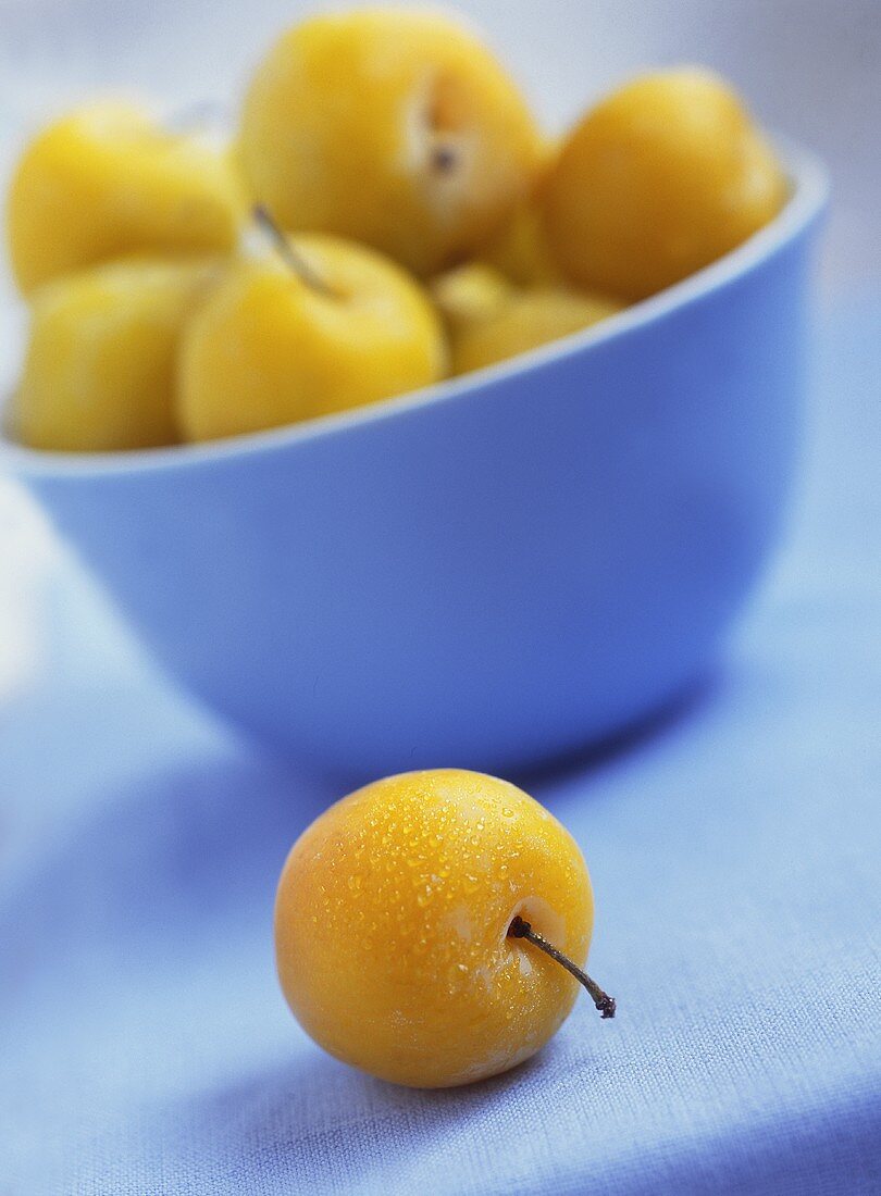 Mirabelles in blue bowl