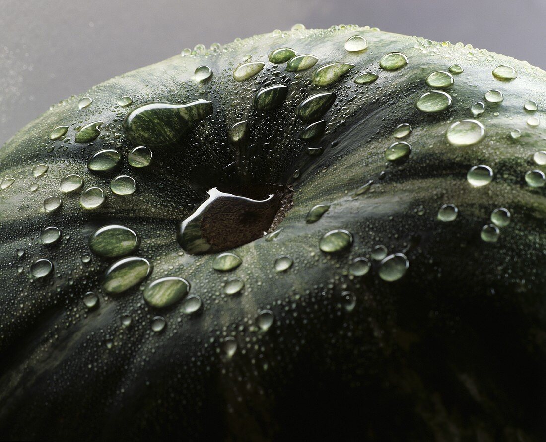 Watermelon with drops of water (close-up)