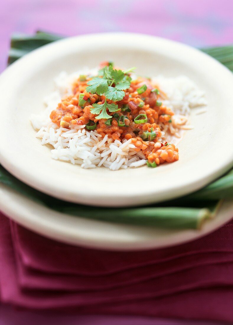 Dal Tarka (Linsengericht mit Curry, Knoblauch, Tomaten, Reis)