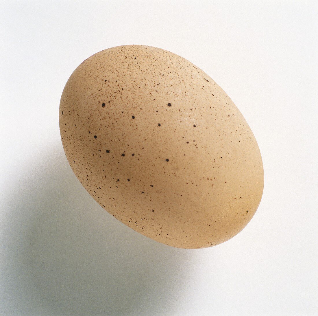 Brown egg