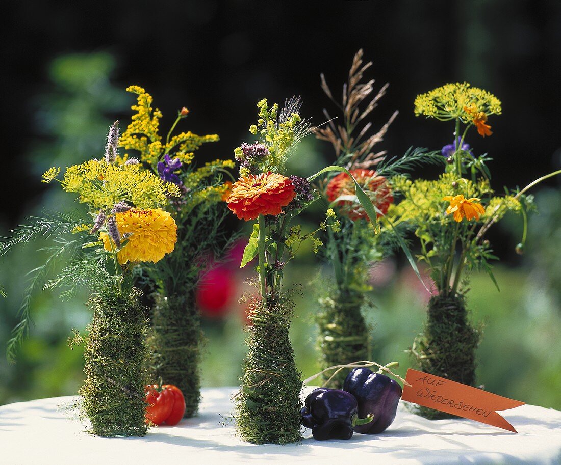 Zinnias in vases wrapped in moss, with label