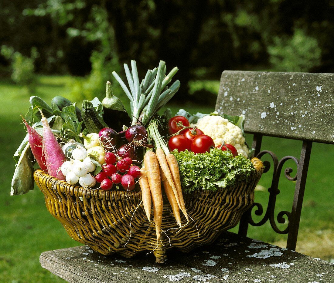 Basket of fresh garden vegetables on a bench