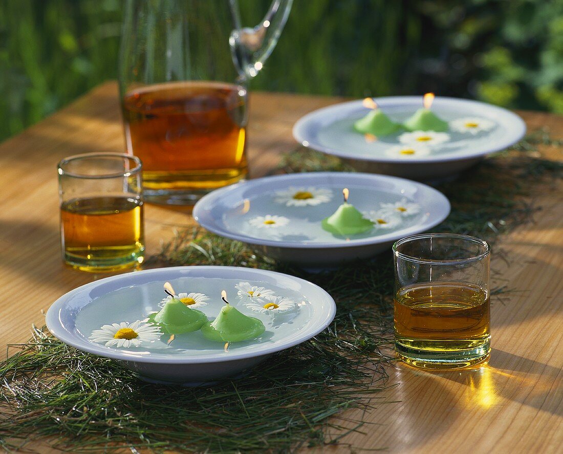 Plates with floating candles and marguerites on grass 