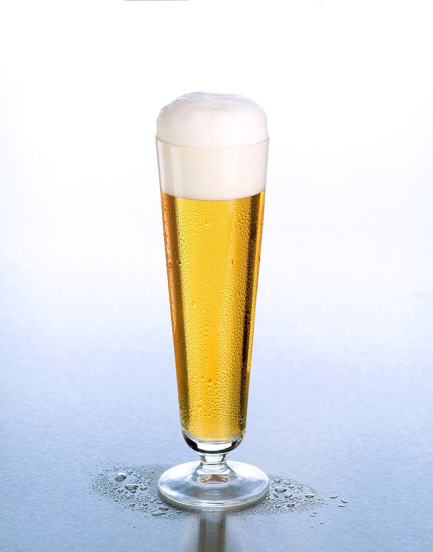 A glass of Pils with head of foam