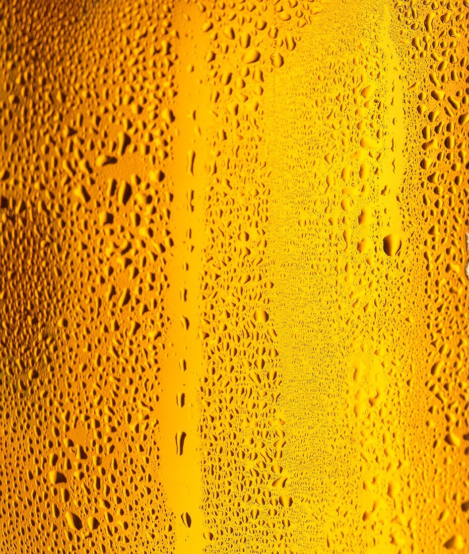 Glas helles Bier in der Nahaufnahme