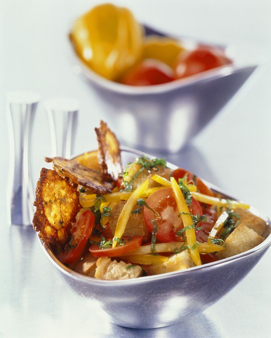 Brotsalat mit Tomaten, Paprika und Parmesanchips