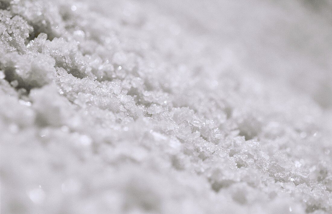 Coarse sea salt (from salt pans near Trapani, Italy)