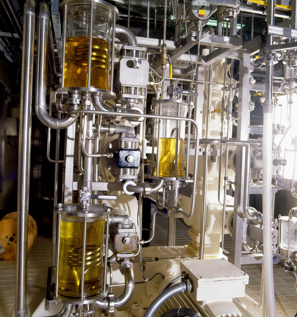 Processing oil in a margarine factory