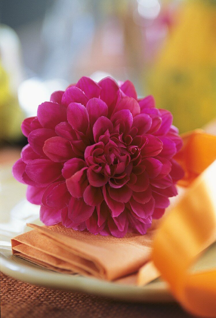 A dahlia