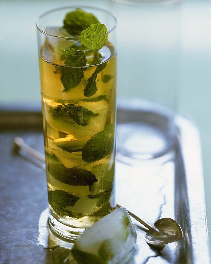 Mint cooler with ice cubes