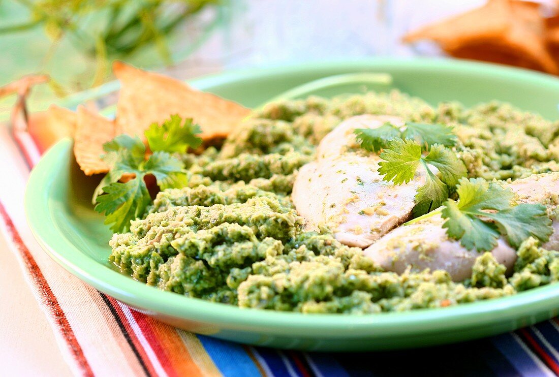 Pollo en Mole Verde (Huhn in grüner Molesauce, Mexiko)