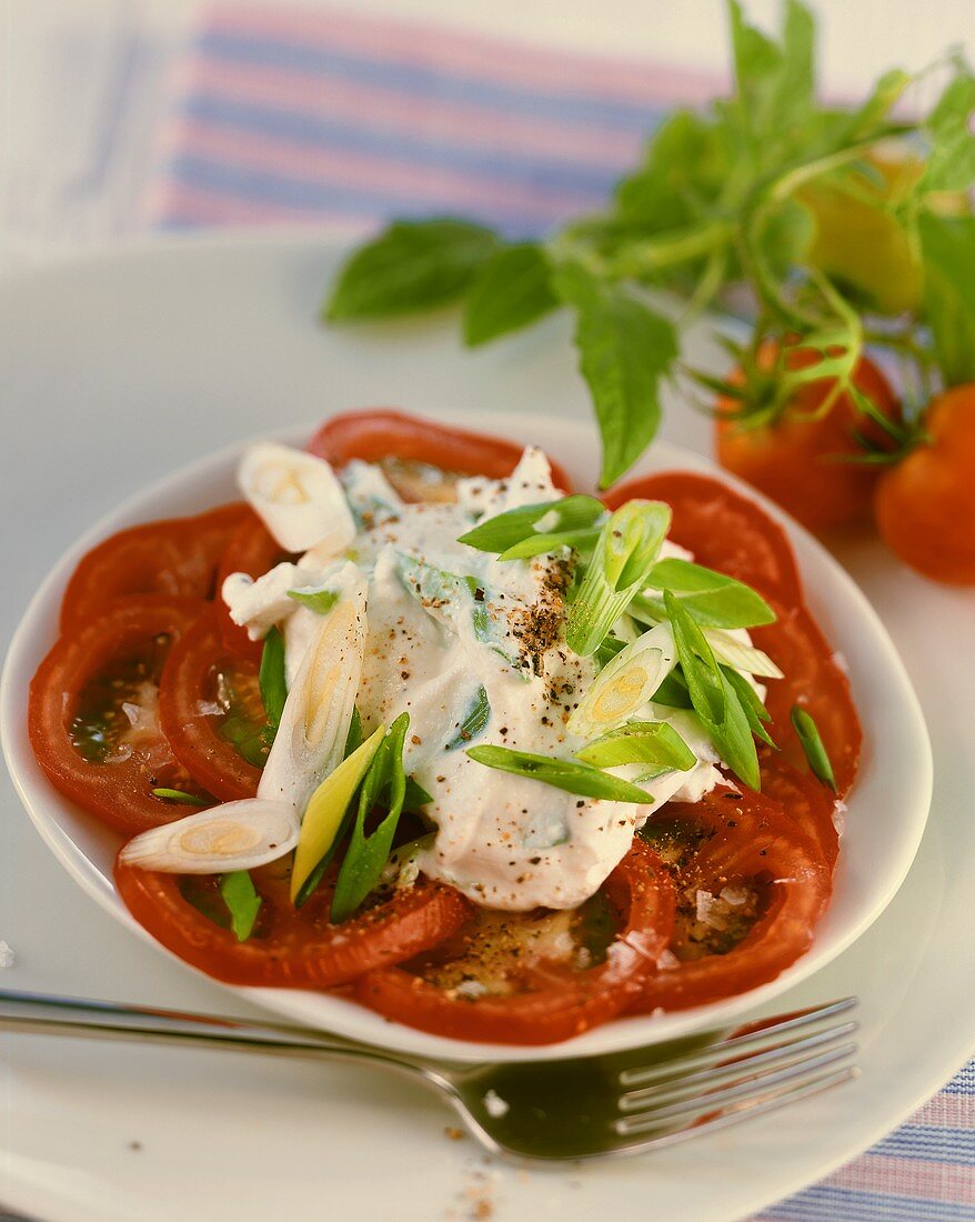 Ricotta with spring onions on tomatoes