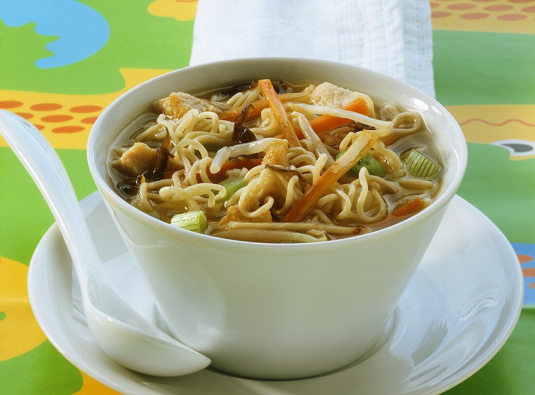 Chinese noodle soup with chicken & vegetables for children