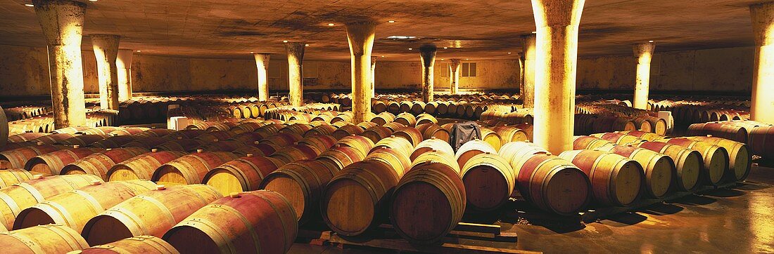 Wine cellar of large Vergelegen Winery, Helderberg, S. Africa